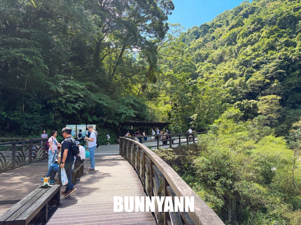 本來只想進森林走走，結果80元門票待到不想走，難怪有人天天上山報到