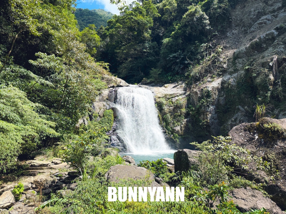 本來只想進森林走走，結果80元門票待到不想走，難怪有人天天上山報到