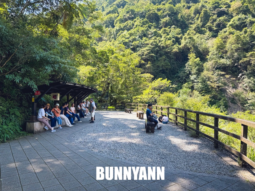 本來只想進森林走走，結果80元門票待到不想走，難怪有人天天上山報到