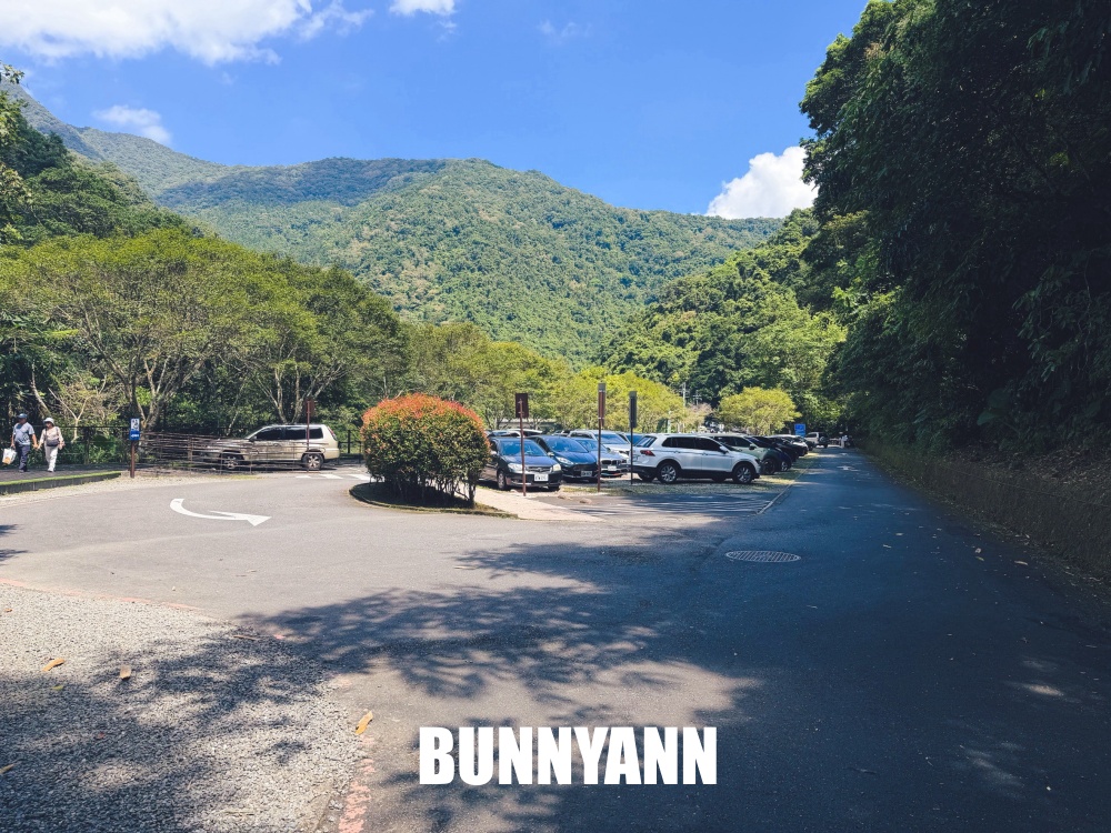 本來只想進森林走走，結果80元門票待到不想走，難怪有人天天上山報到