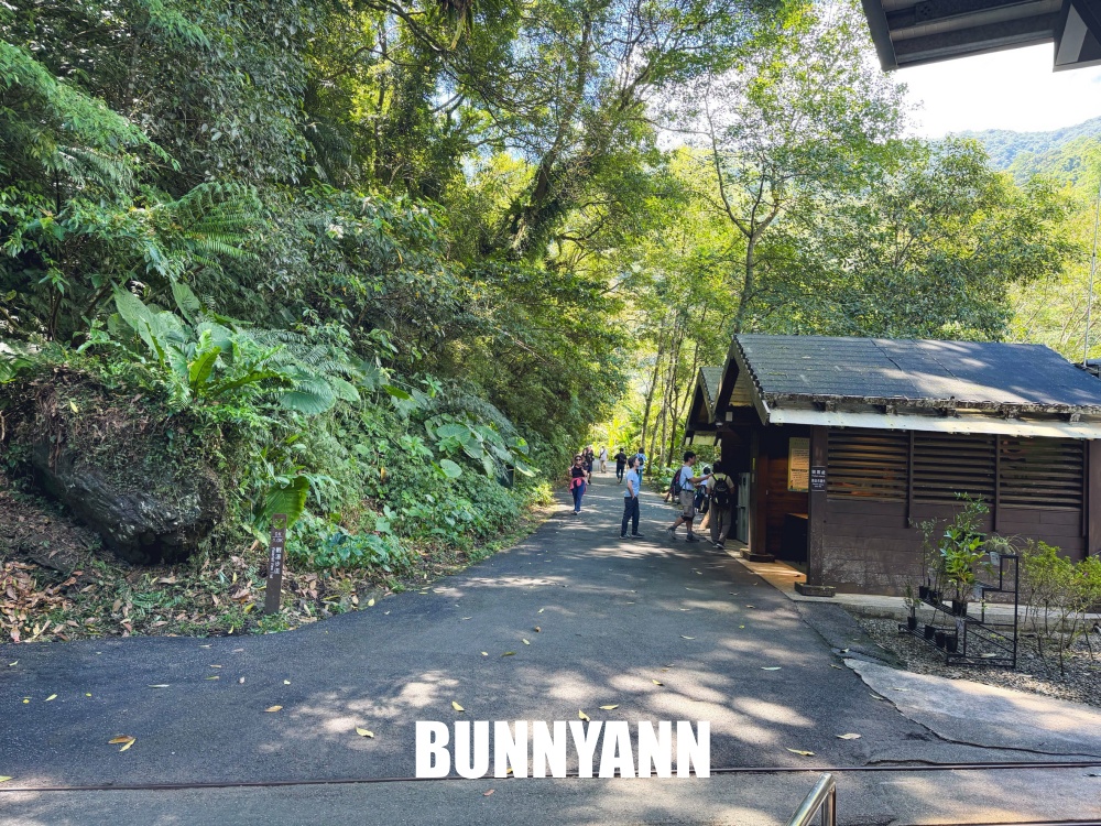 本來只想進森林走走，結果80元門票待到不想走，難怪有人天天上山報到