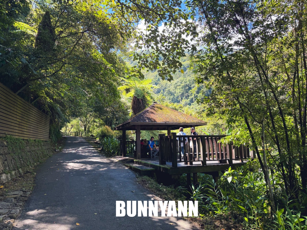 本來只想進森林走走，結果80元門票待到不想走，難怪有人天天上山報到