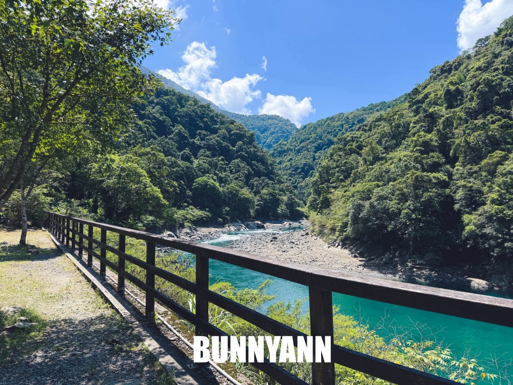 本來只想進森林走走，結果80元門票待到不想走，難怪有人天天上山報到
