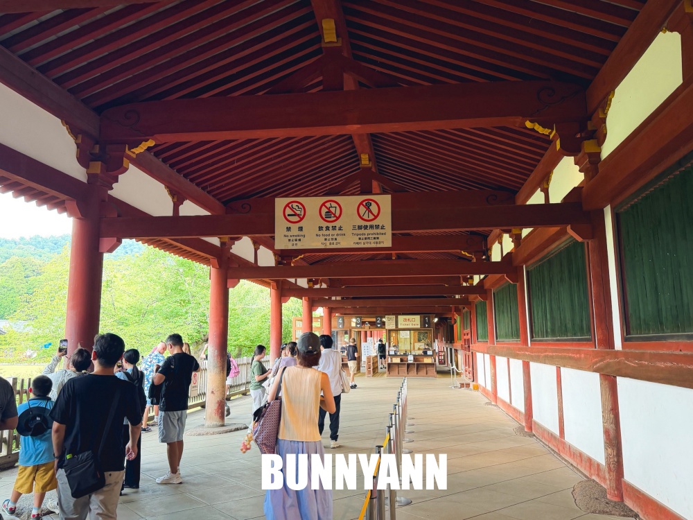 很多人來過都說讚，是梅花鹿戶外園區，買仙貝能體驗餵鹿，東大寺也很美