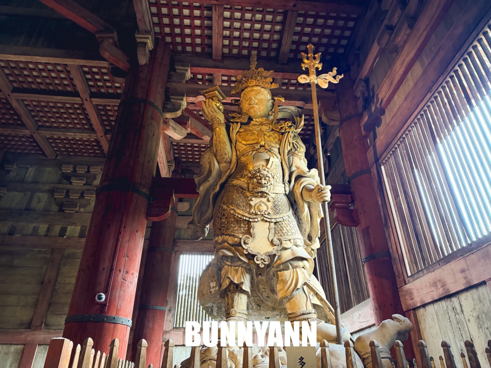 很多人來過都說讚，是梅花鹿戶外園區，買仙貝能體驗餵鹿，東大寺也很美