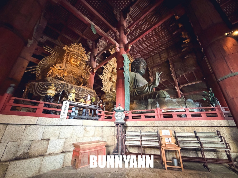 很多人來過都說讚，是梅花鹿戶外園區，買仙貝能體驗餵鹿，東大寺也很美
