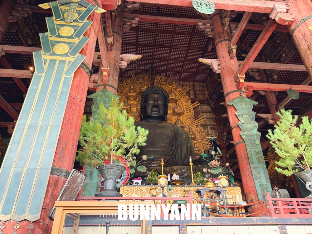 很多人來過都說讚，是梅花鹿戶外園區，買仙貝能體驗餵鹿，東大寺也很美