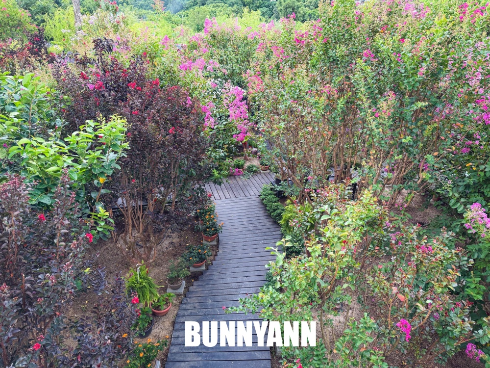 入口不起眼的秘境花園，卻是免入園票能待整天，玻璃溫室內更是美麗