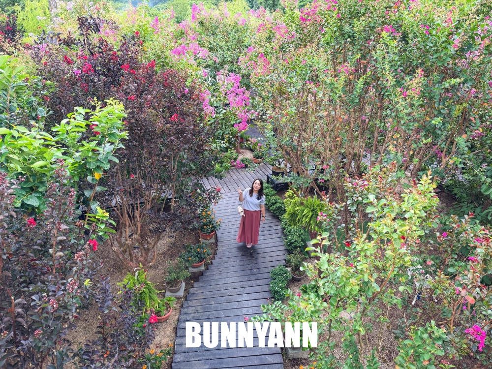 入口不起眼的秘境花園，卻是免入園票能待整天，玻璃溫室內更是美麗