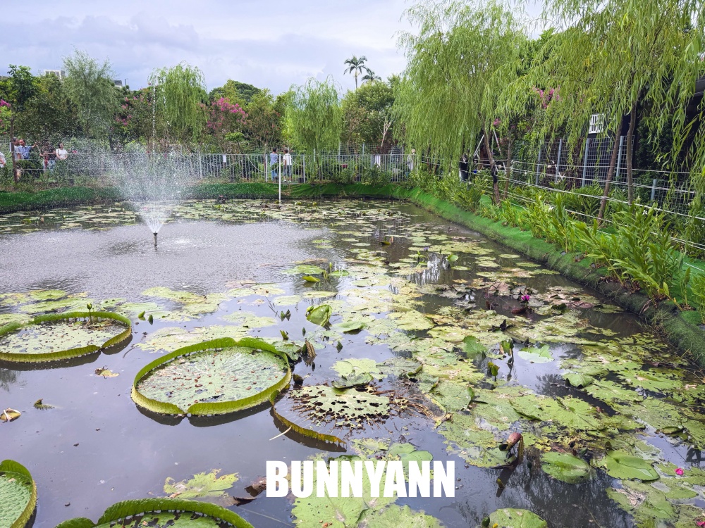 入口不起眼的秘境花園，卻是免入園票能待整天，玻璃溫室內更是美麗