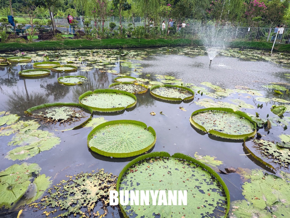 入口不起眼的秘境花園，卻是免入園票能待整天，玻璃溫室內更是美麗