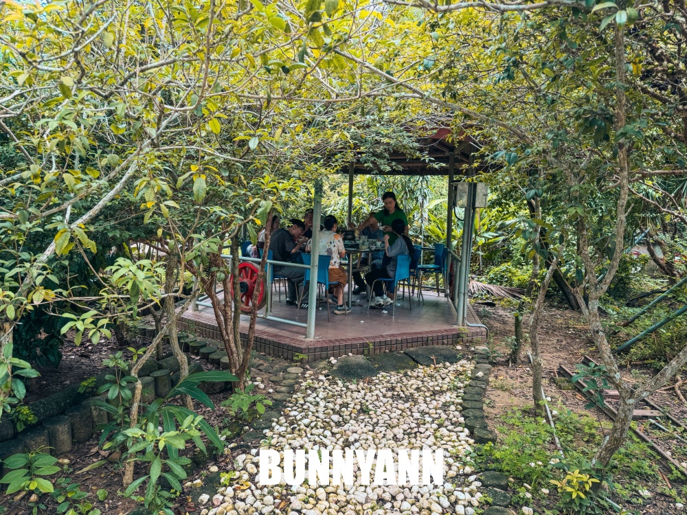 登山客才知道，是放養山雞店家，超狂小火車送餐，森林系最強鹽焗雞