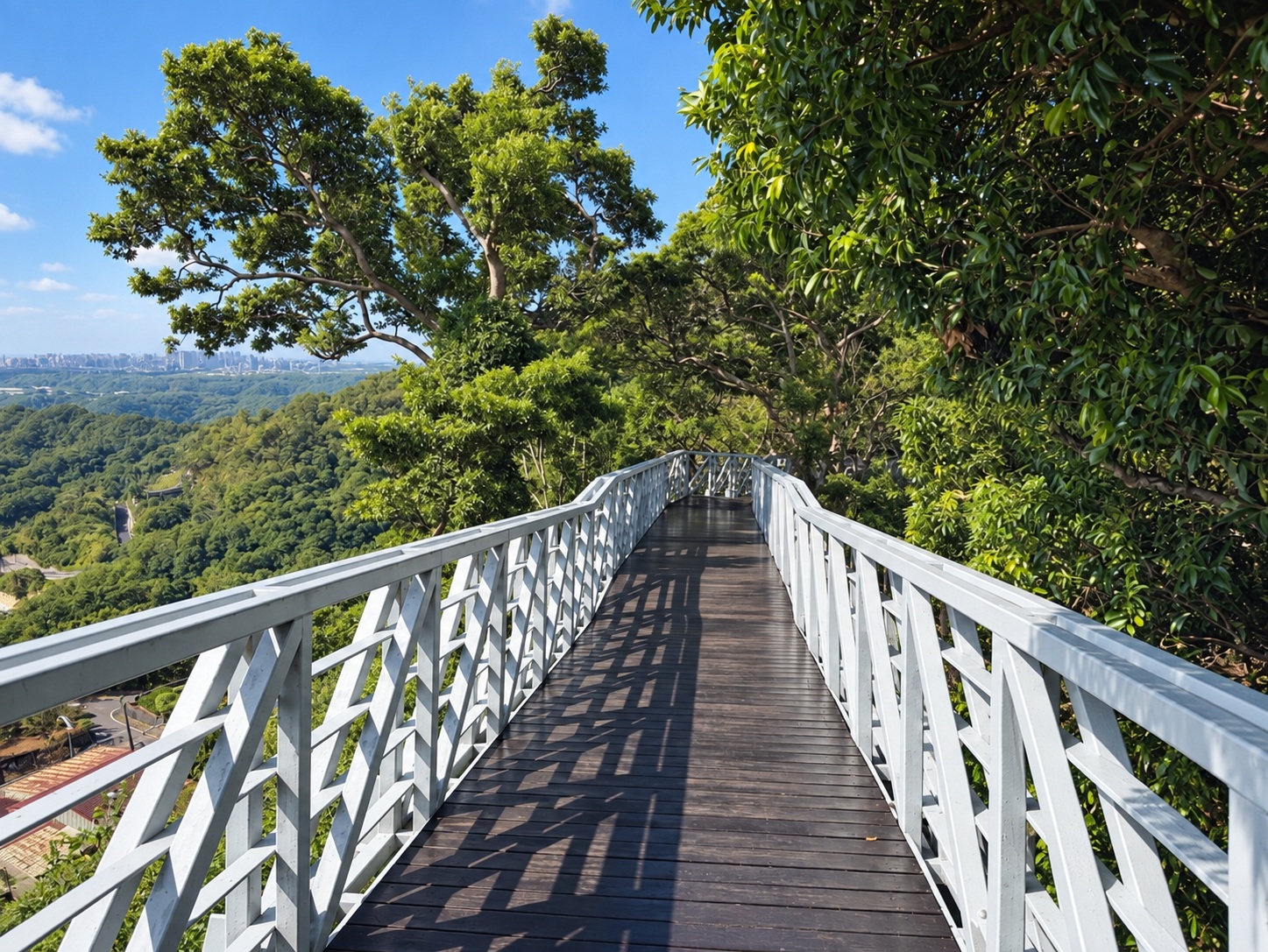原本只是想找地方走，結果山上藏著賞鷹步道，連入口生態館都很好逛