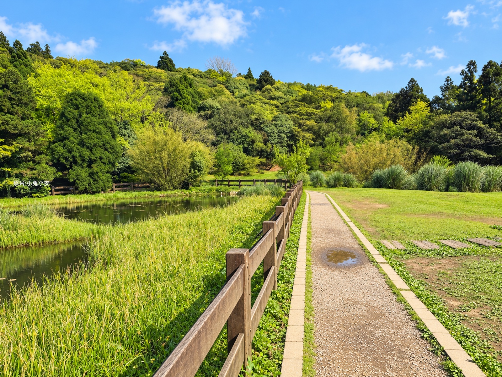 菁山吊橋