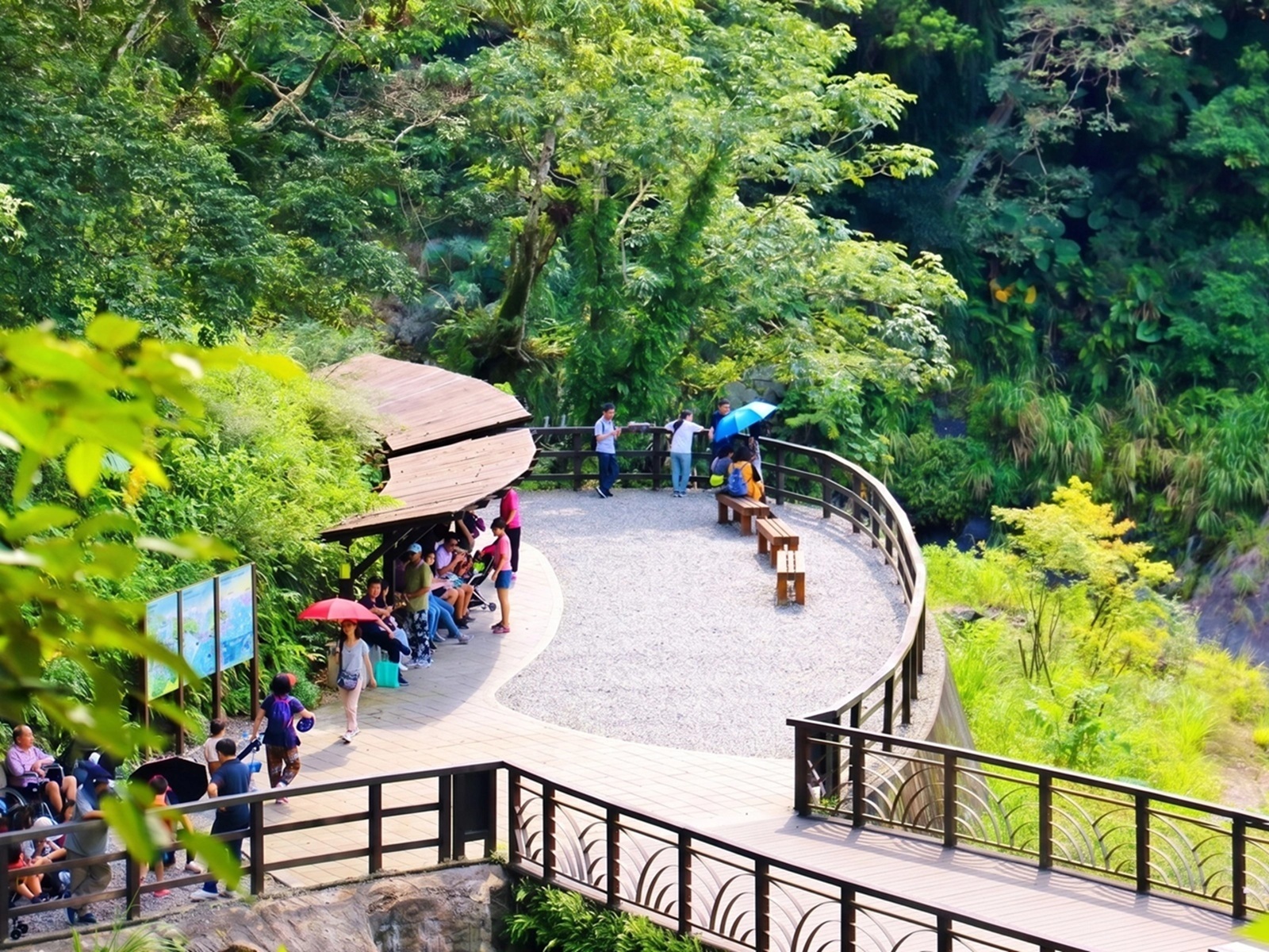 這座森林園很多人說環境美又好走，入園票80元待整天，有人天天登山