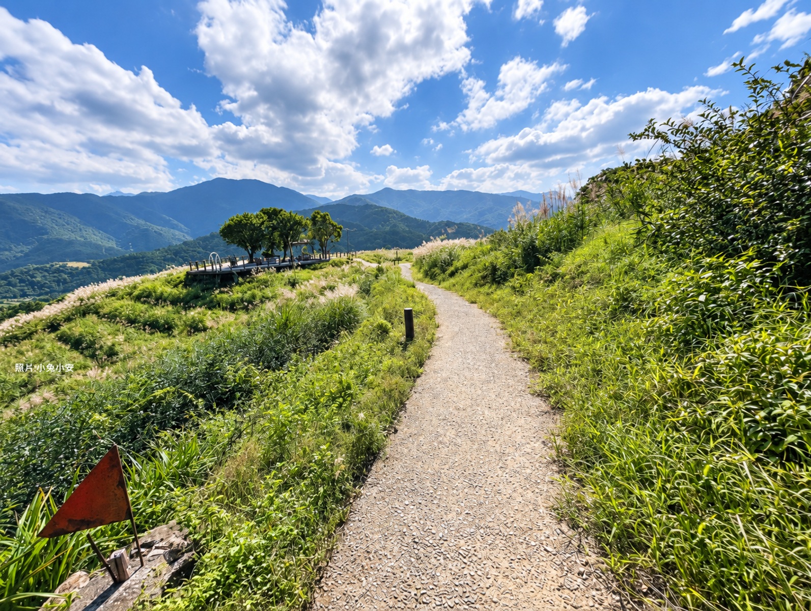 原本只想散步一下，走進廟後森林步道後，45分鐘就能看到整片大景