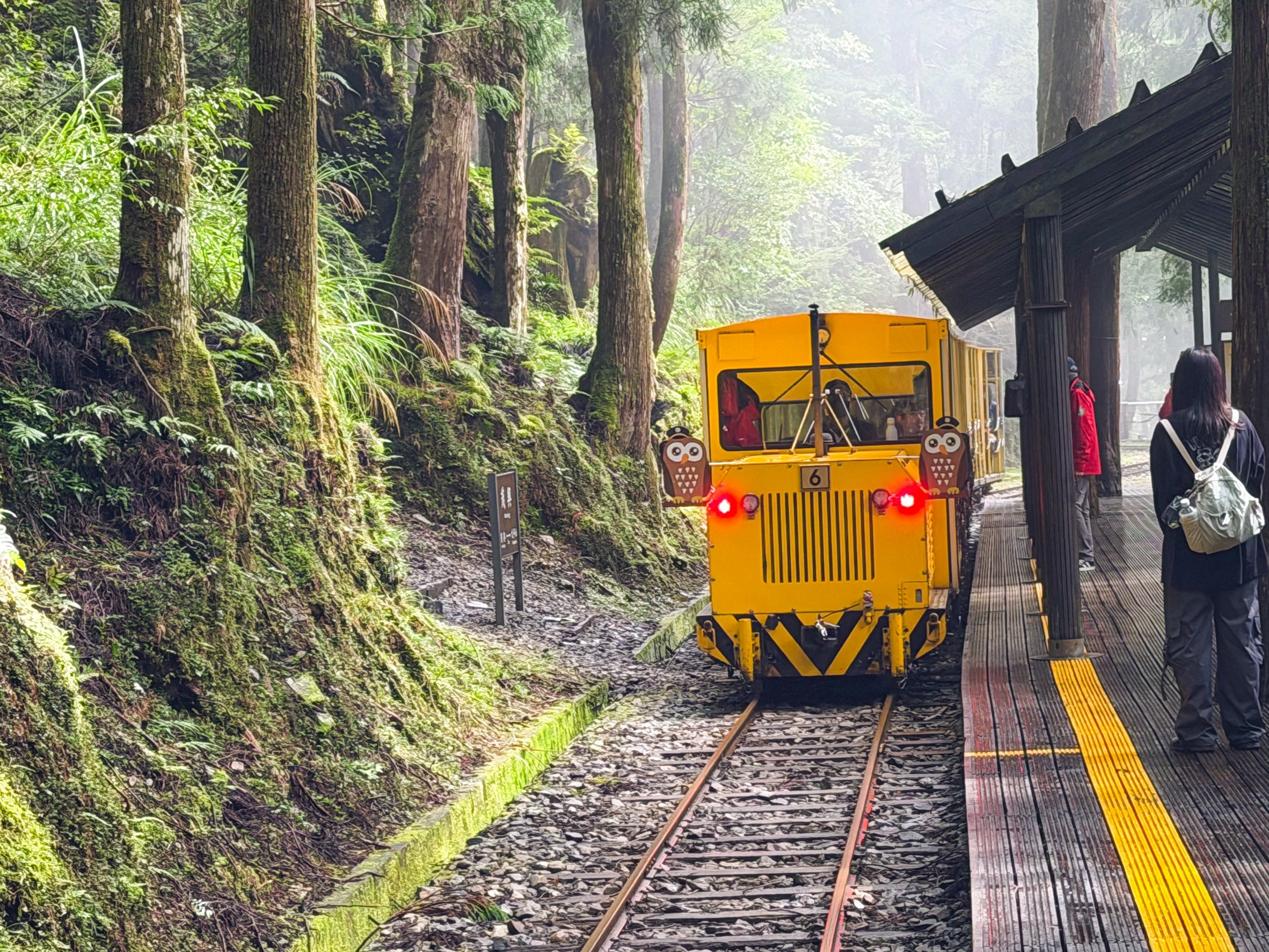 一早上山就為了這張票！太平山森林小火車180元，穿過雲霧超夢幻