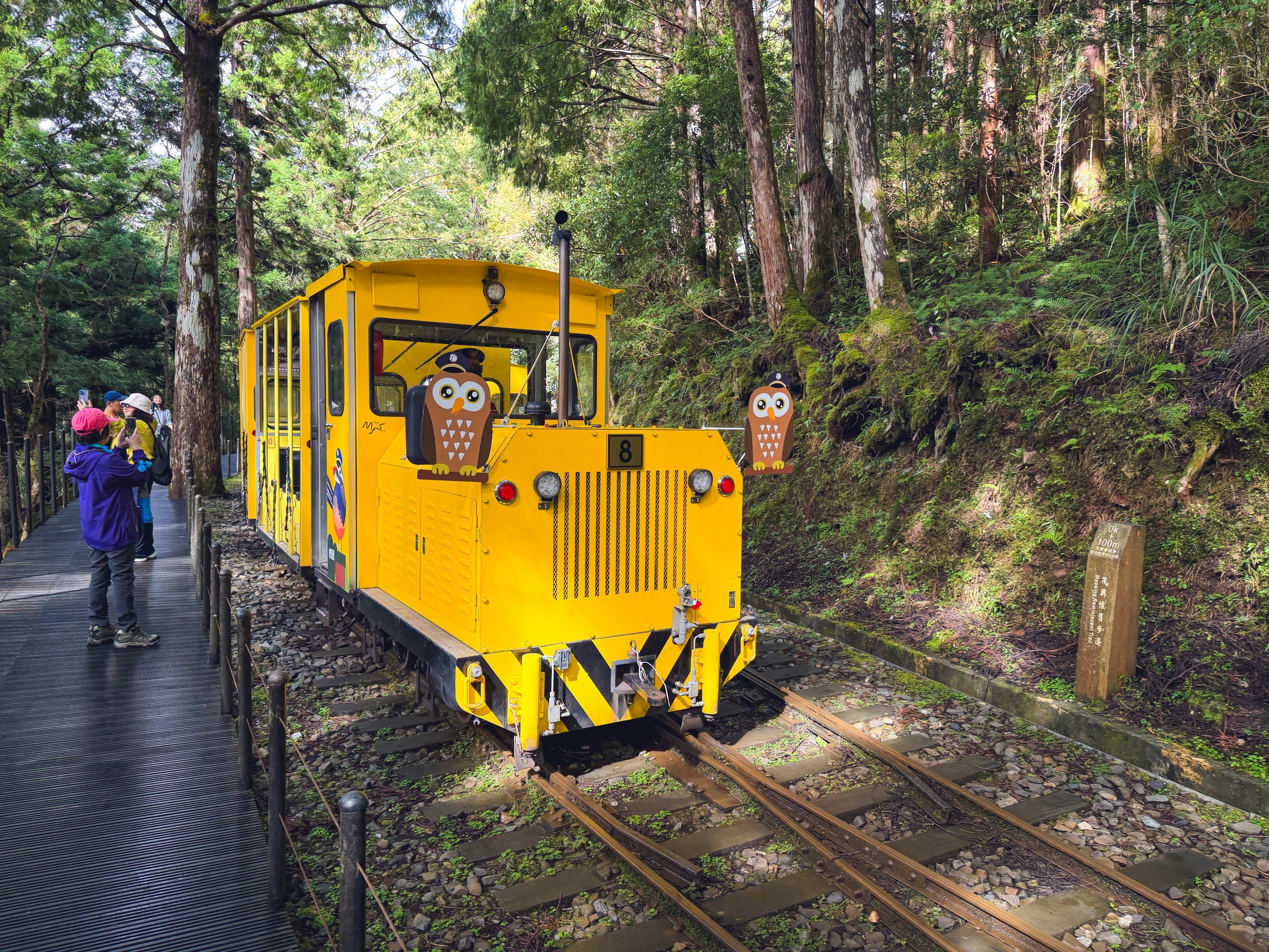 一早上山就為了這張票！太平山森林小火車180元，穿過雲霧超夢幻