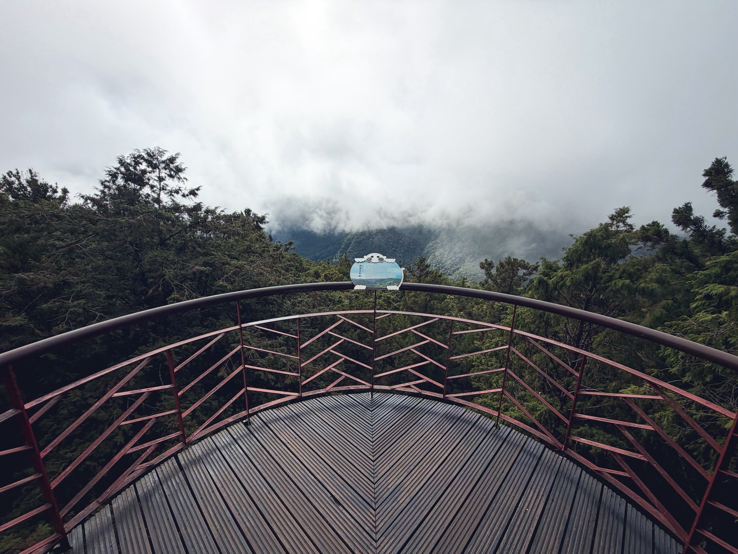 一早上山就為了這張票！太平山森林小火車180元，穿過雲霧超夢幻