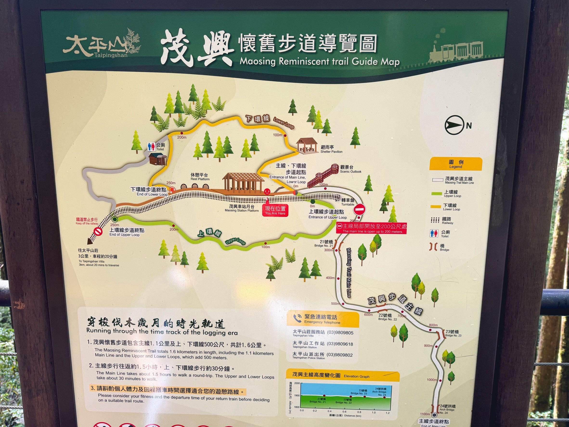 一早上山就為了這張票！太平山森林小火車180元，穿過雲霧超夢幻
