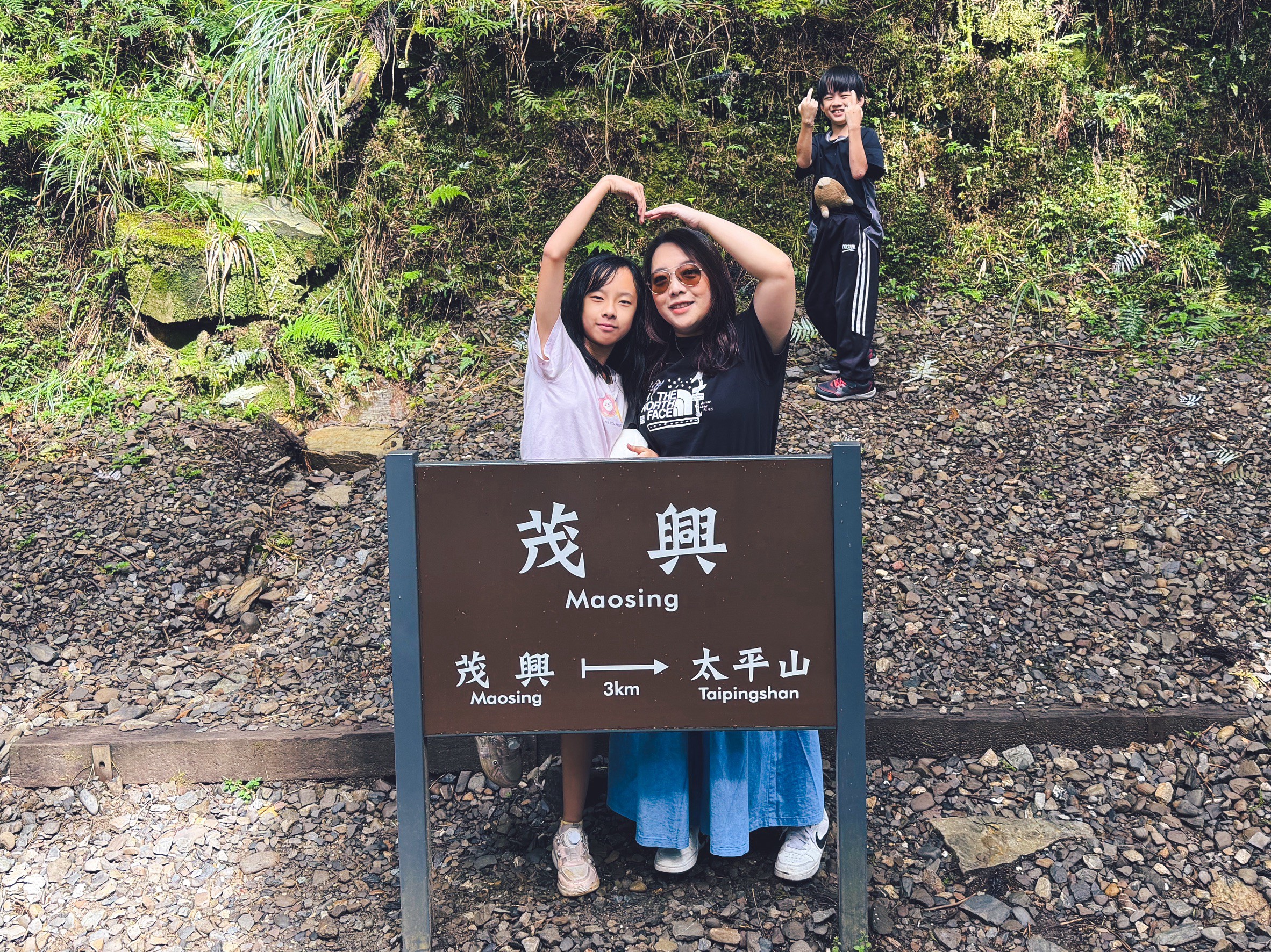 一早上山就為了這張票！太平山森林小火車180元，穿過雲霧超夢幻