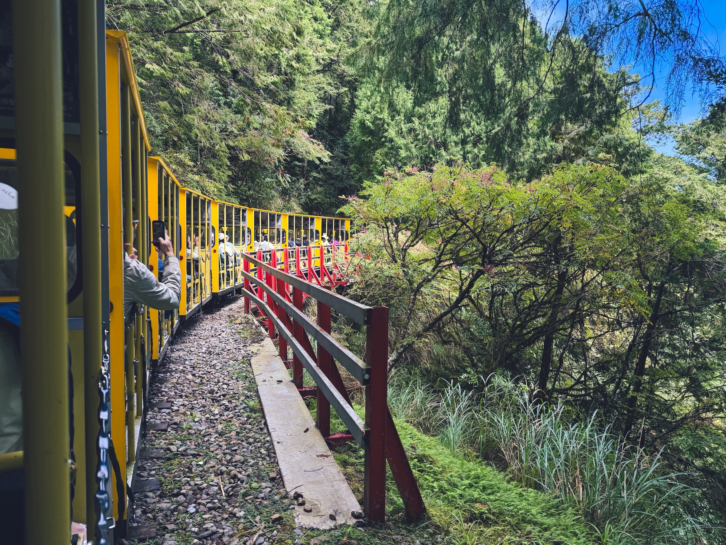 一早上山就為了這張票！太平山森林小火車180元，穿過雲霧超夢幻