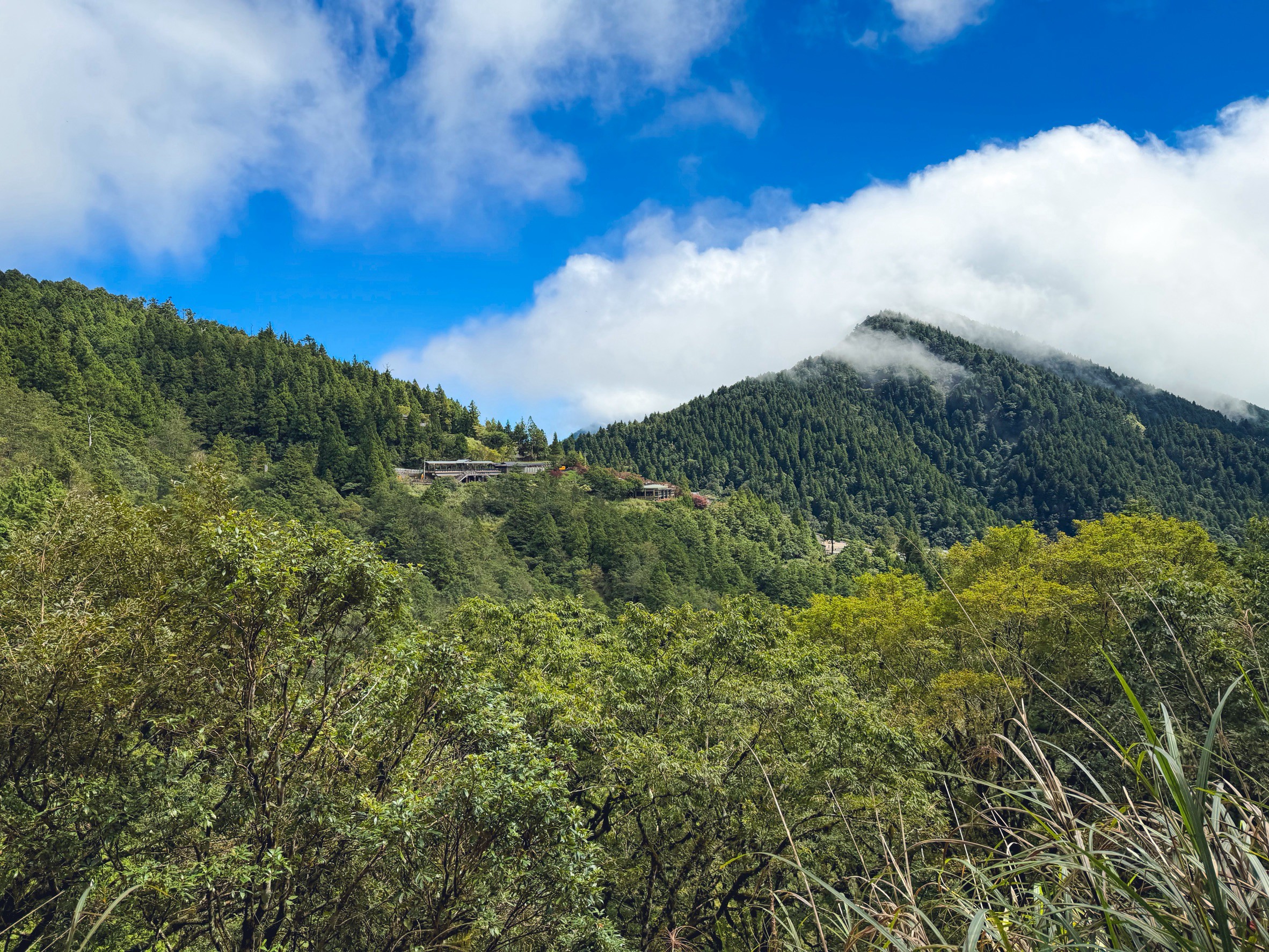 一早上山就為了這張票！太平山森林小火車180元，穿過雲霧超夢幻