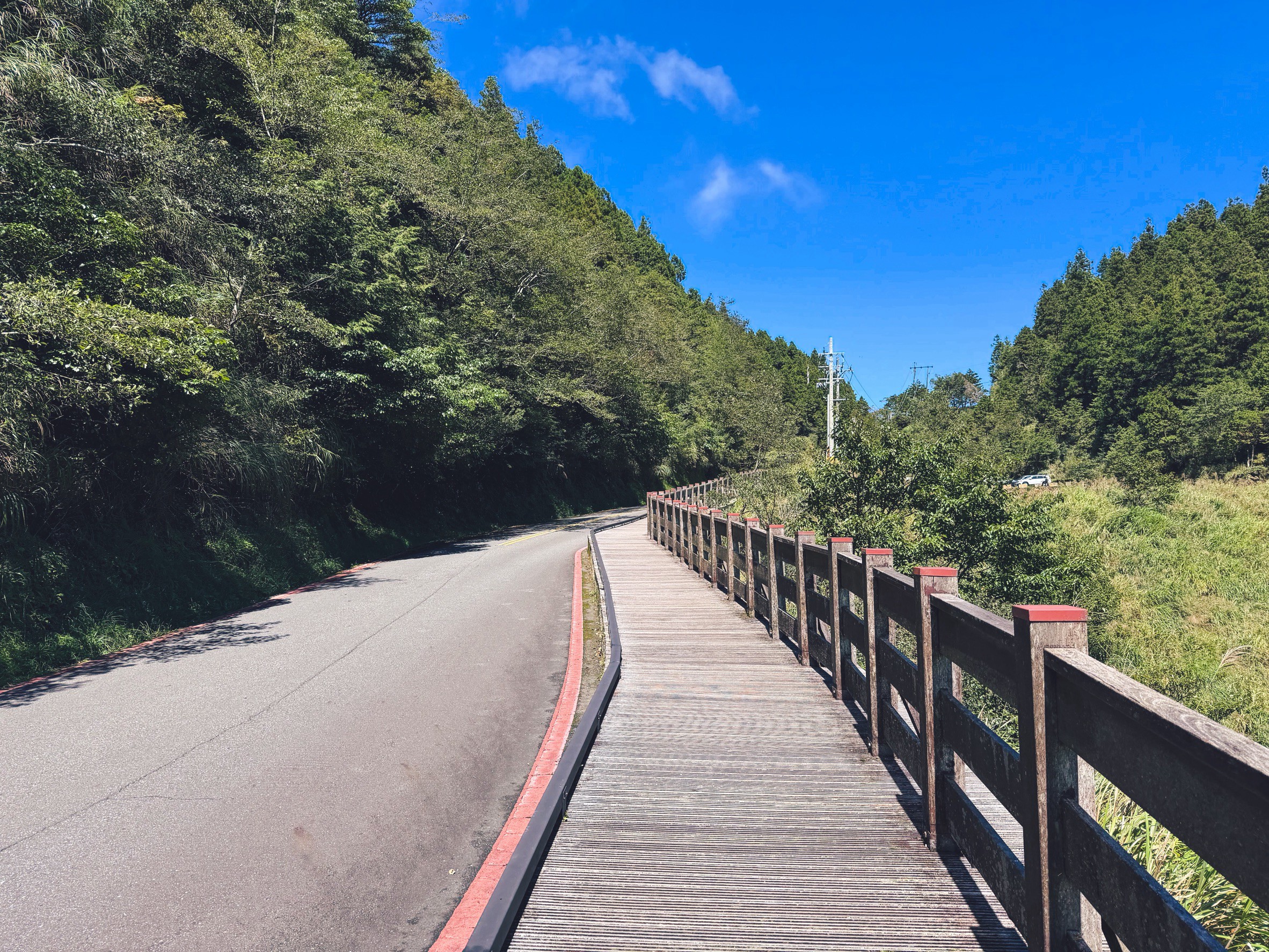 一早上山就為了這張票！太平山森林小火車180元，穿過雲霧超夢幻