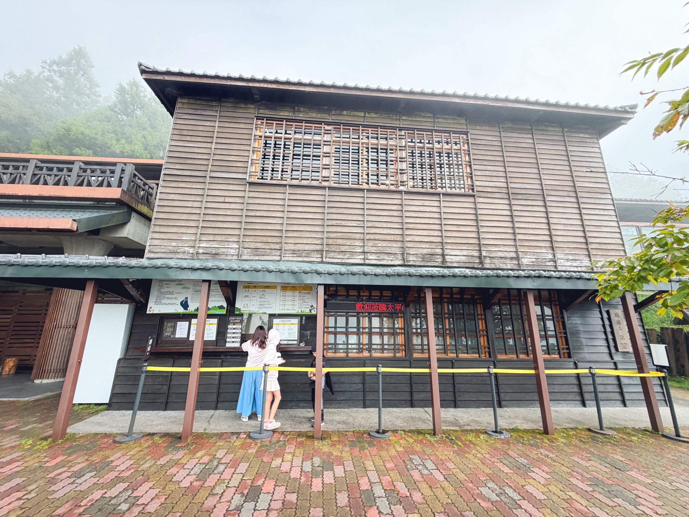 一早上山就為了這張票！太平山森林小火車180元，穿過雲霧超夢幻
