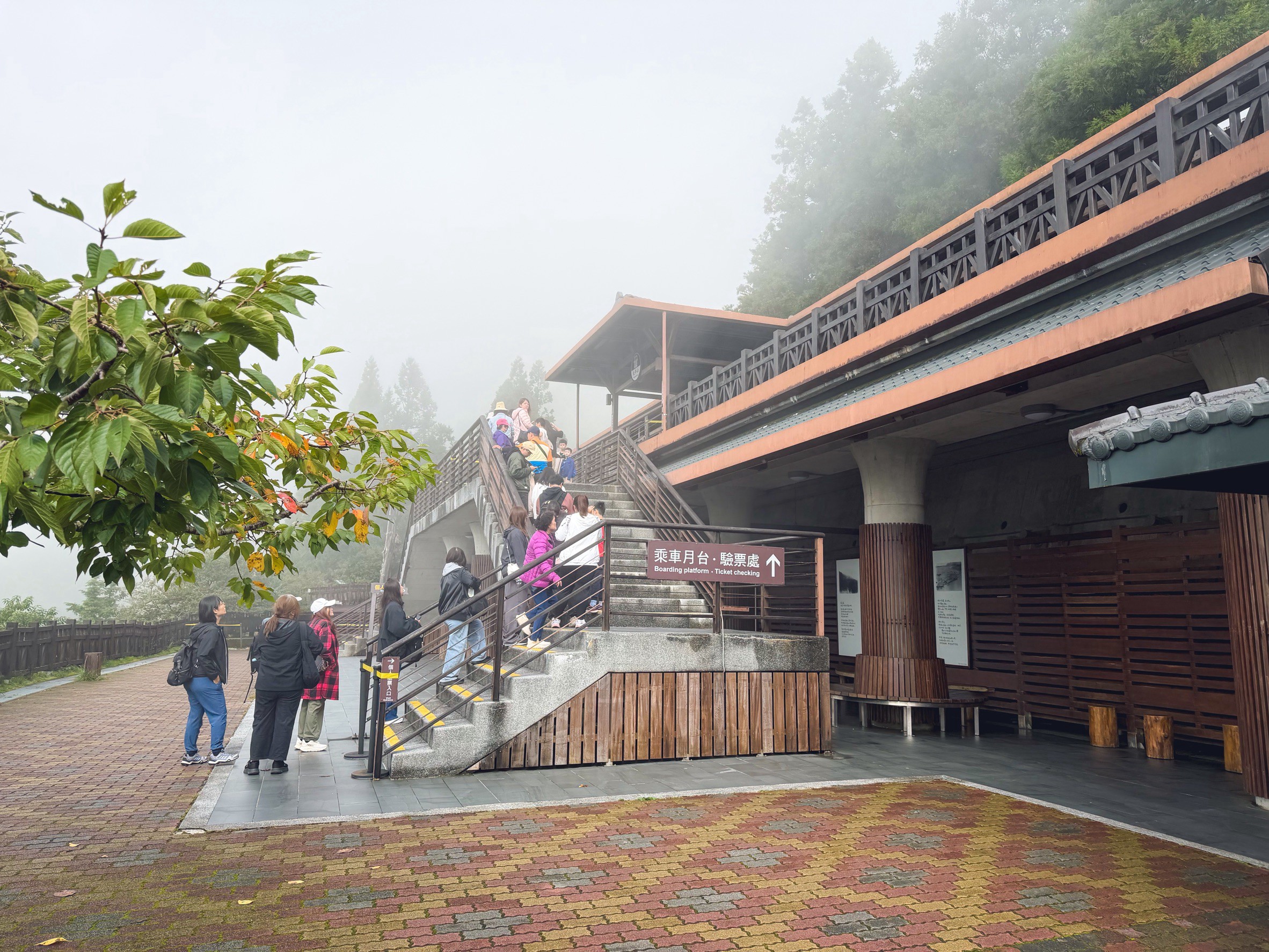 一早上山就為了這張票！太平山森林小火車180元，穿過雲霧超夢幻