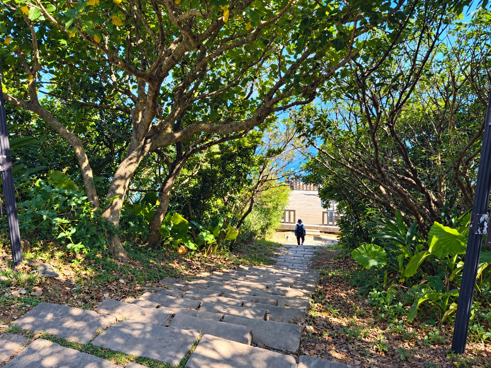 龍洞灣岬步道