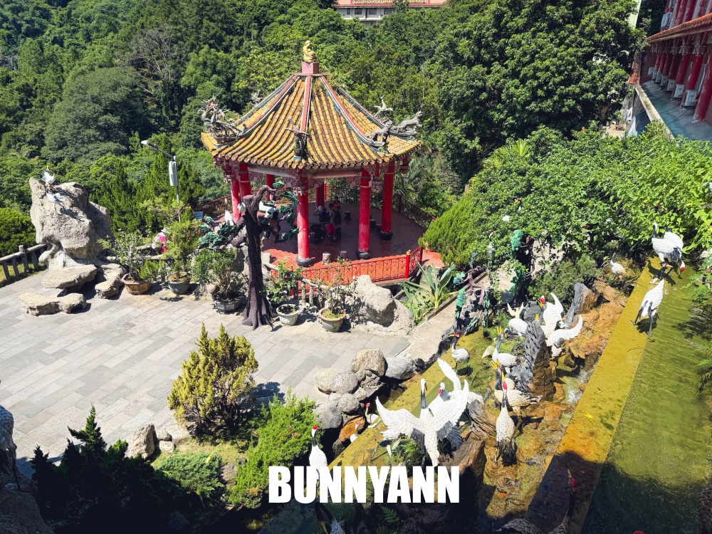 原本誤會只是一般古蹟廟宇，沒想到入口藏著巨大樹洞，後方還有登山步道能走