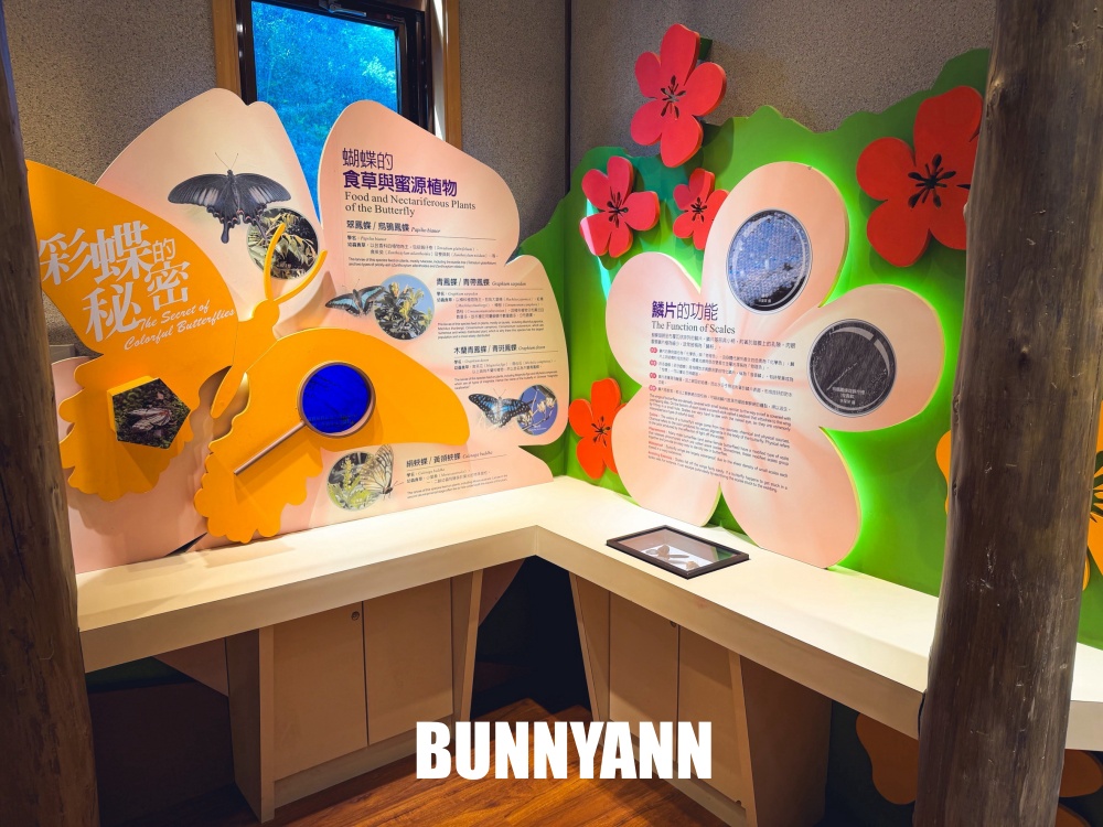 花80元就能走進山景園區，環境漂亮又好走，難怪有人幾乎天天來登山