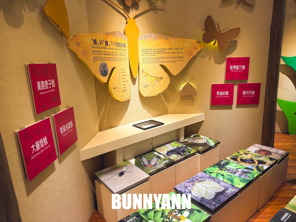 花80元就能走進山景園區，環境漂亮又好走，難怪有人幾乎天天來登山
