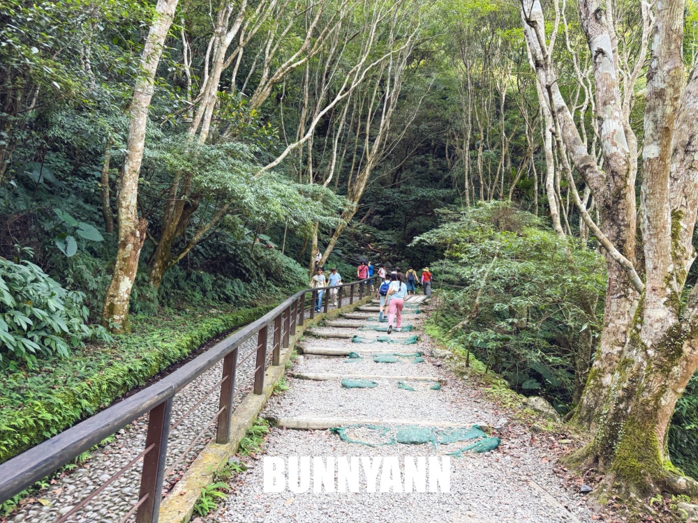 花80元就能走進山景園區，環境漂亮又好走，難怪有人幾乎天天來登山