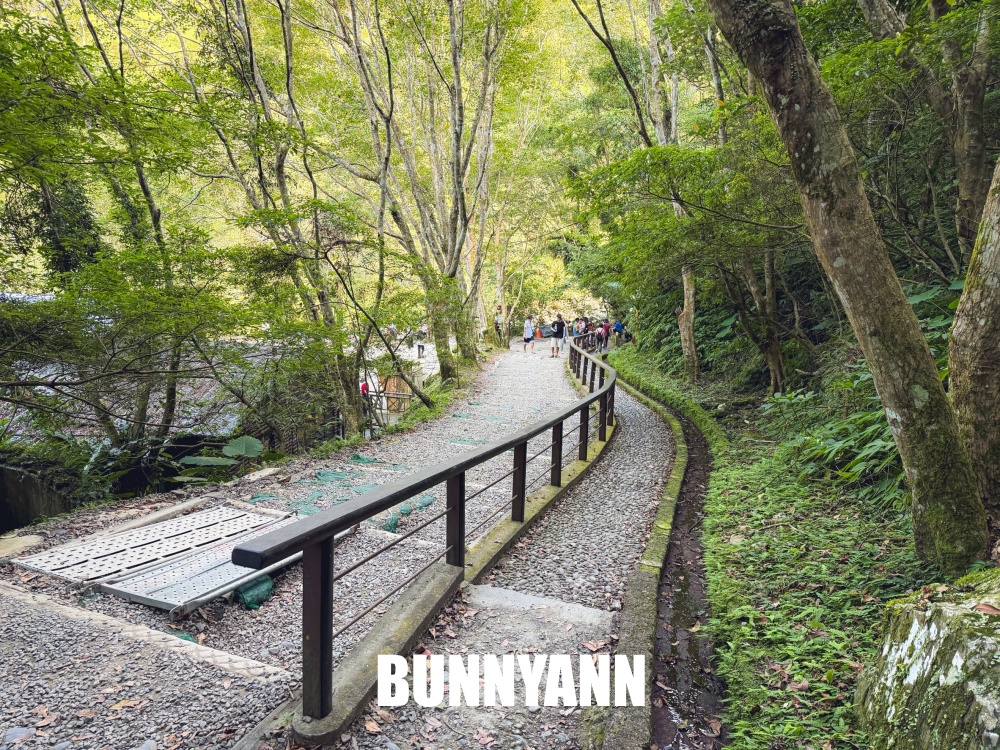 花80元就能走進山景園區，環境漂亮又好走，難怪有人幾乎天天來登山