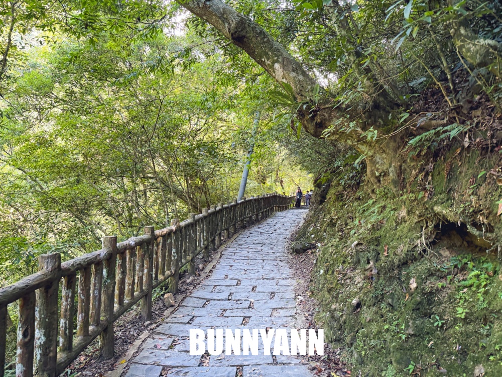 花80元就能走進山景園區，環境漂亮又好走，難怪有人幾乎天天來登山