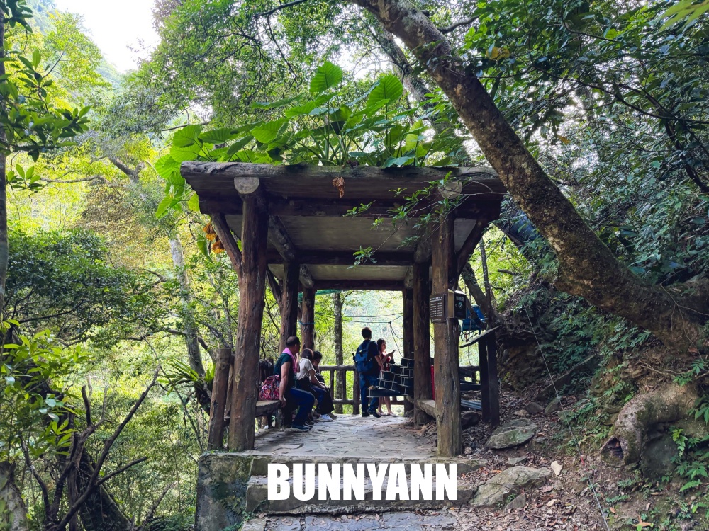 花80元就能走進山景園區，環境漂亮又好走，難怪有人幾乎天天來登山