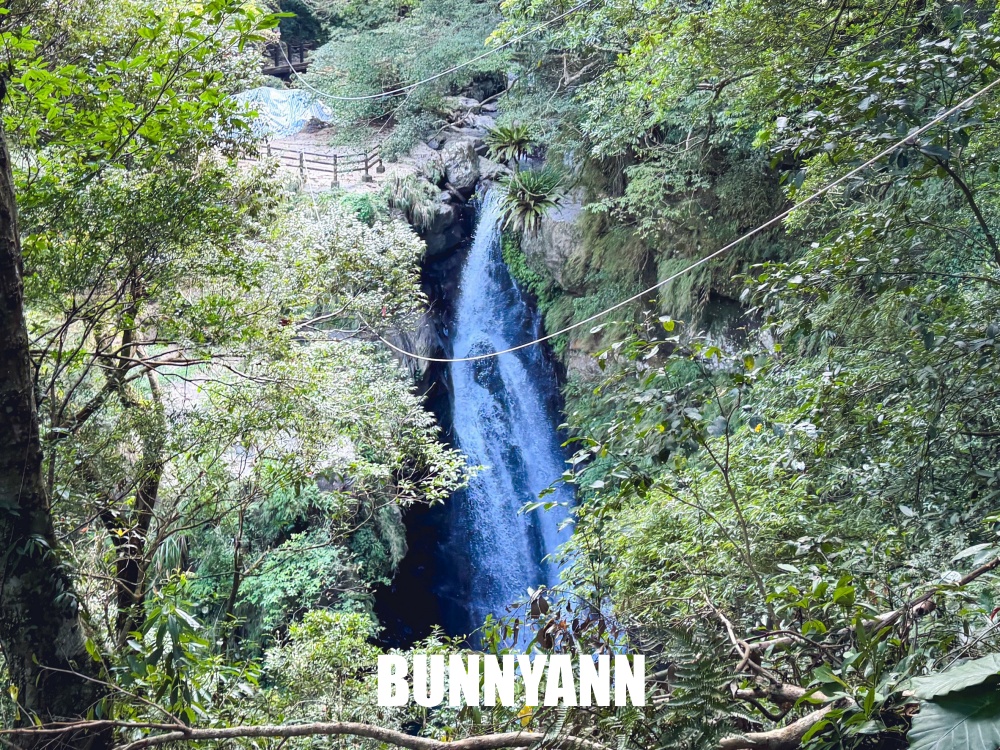 花80元就能走進山景園區，環境漂亮又好走，難怪有人幾乎天天來登山