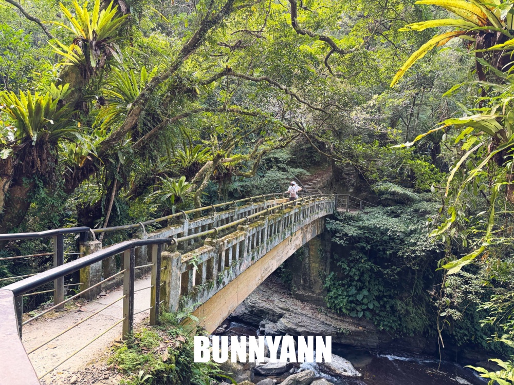 花80元就能走進山景園區，環境漂亮又好走，難怪有人幾乎天天來登山