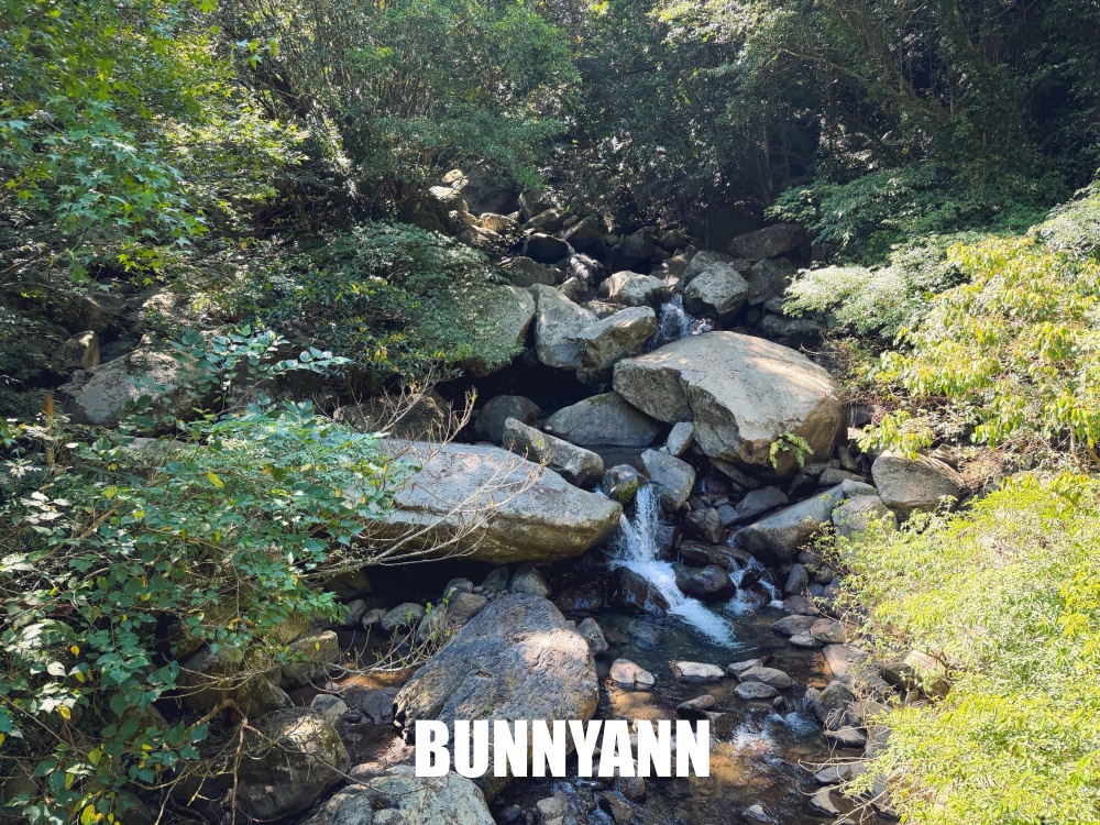 花80元就能走進山景園區，環境漂亮又好走，難怪有人幾乎天天來登山