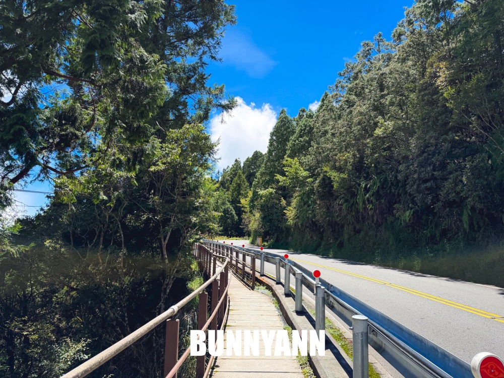 一開始只想來山上散步，沒想到見晴懷古步道這麼美，連舊鐵道和森林都讓人驚艷