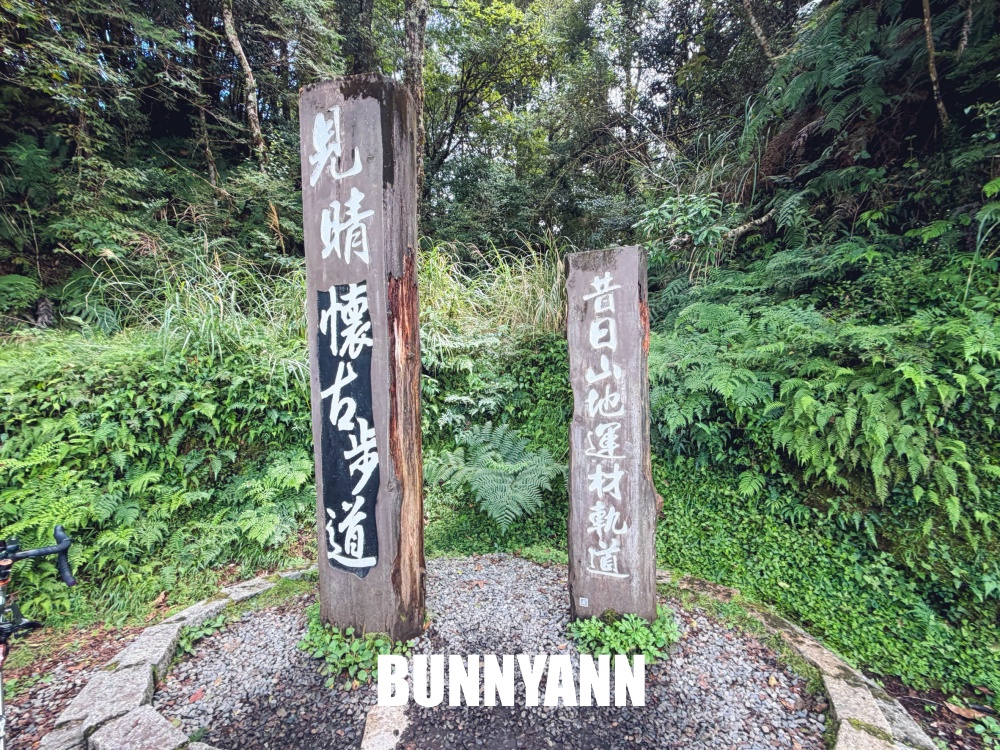 一開始只想來山上散步，沒想到見晴懷古步道這麼美，連舊鐵道和森林都讓人驚艷