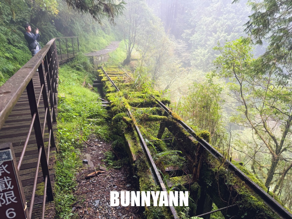 一開始只想來山上散步，沒想到見晴懷古步道這麼美，連舊鐵道和森林都讓人驚艷