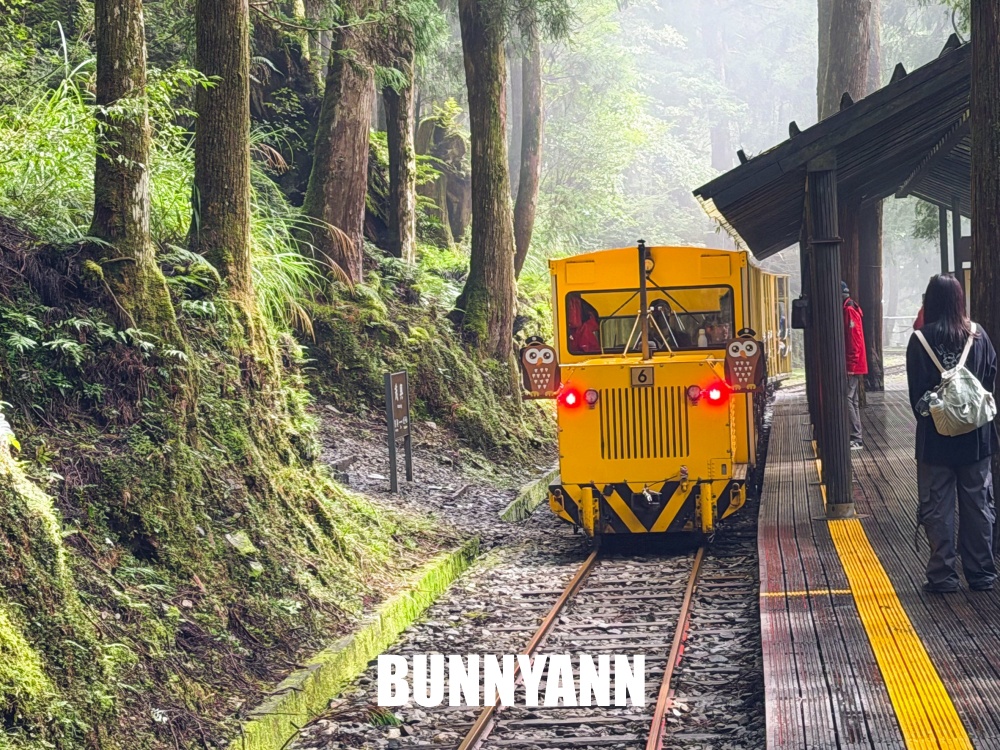 一半的人沒搭過，就是山上鐵路小火車，來回兩小時，行駛在雲霧山嵐超美