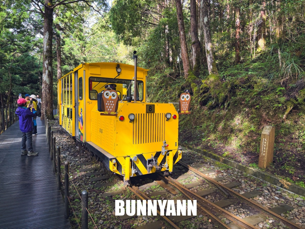 一半的人沒搭過，就是山上鐵路小火車，來回兩小時，行駛在雲霧山嵐超美