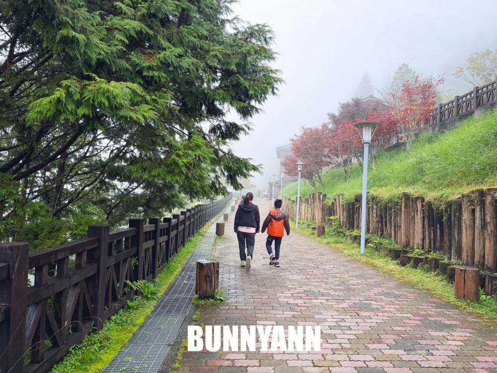 一半的人沒搭過，就是山上鐵路小火車，來回兩小時，行駛在雲霧山嵐超美