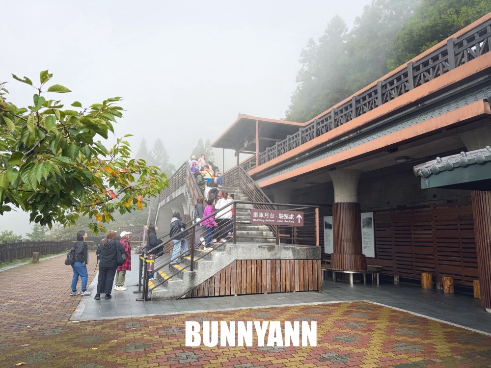 一半的人沒搭過，就是山上鐵路小火車，來回兩小時，行駛在雲霧山嵐超美