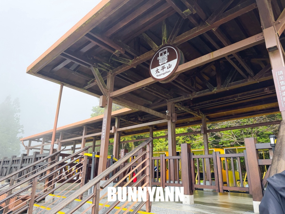 一半的人沒搭過，就是山上鐵路小火車，來回兩小時，行駛在雲霧山嵐超美