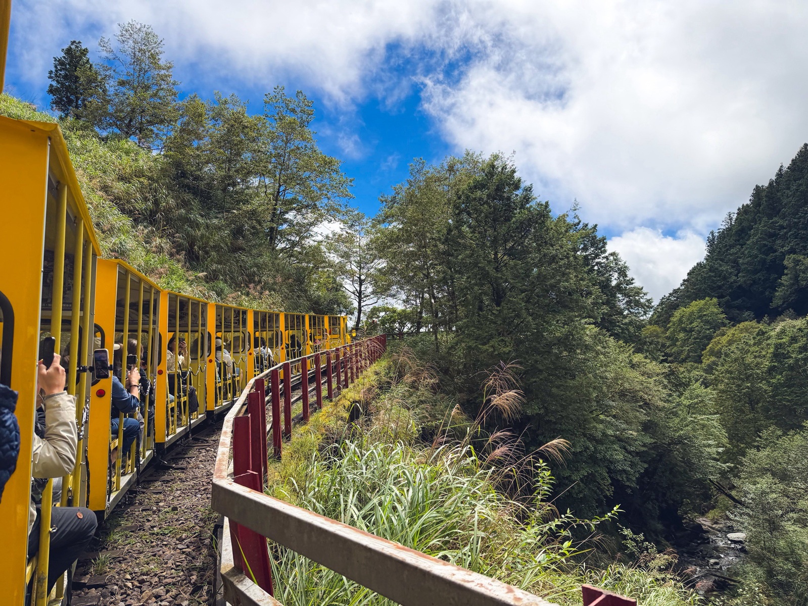 一早上山就為了這張票！太平山森林小火車180元，穿過雲霧超夢幻